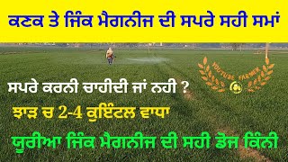 ਕਣਕ ਤੇ ਜਿੰਕ ਮੈਗਨੀਜ ਦੀ ਸਪਰੇ ਕਦੋ ਕਰੀਏ । wheat first sprey