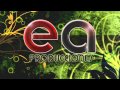 PRESENTACIÓN EA PRODUCCIONES