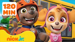 Paw Patrol Brand New Rescues Adventures 2 Hours Nick Jr Nick Jr Mp3 Paw Patrol Brand New Rescues Adventures 2 Hours Nick Jr Nick Jr Mp3