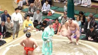 Rikishin (1-2) - Kotoeko (1-2) , Sumo : Natsubasho '17