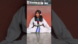 Taekwondo Stretching | Flexibility and Stretching Training