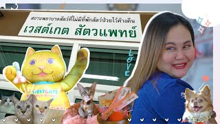 เวสต์เกต สัตวแพทย์ ขาใหญ่แห่งบางใหญ่ : Jinny Check in