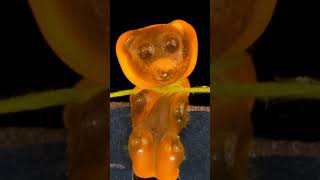 gummy bear #shorts #slowmotion #staisfying #macro #gummybear