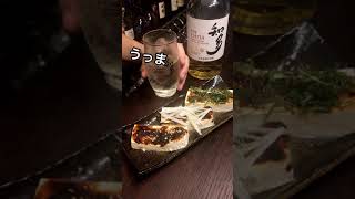 ウイスキーガチ大学生の宅飲み！【簡単おつまみ！味噌田楽三昧と知多のハイボール！】