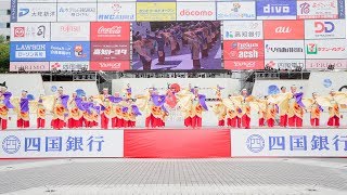 [4K] 津山よさこい踊らん会 紅　高知よさこい祭り 2019 本祭2日目