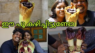 ഇതുവരെയും മലയാളികൾ കഴിക്കാത്ത പൂ    Elephant yam flower