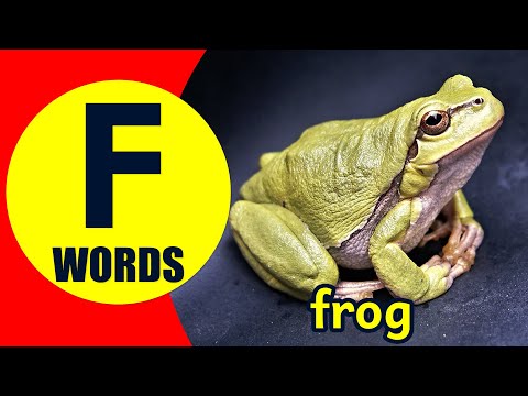 Words Starting With F - Learn Words that Start with F Sound