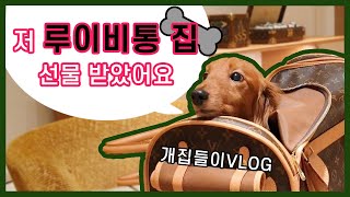 반려견VLOG: 루이비통 개집,반려견 명품,루이비통 이동가방,반려견 동반카페 반려견 용품, 반려견 vlog,