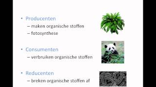 Ecologie - deel 1