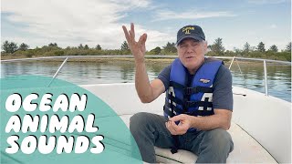 How to Make Ocean Animal Sounds with Captain Al