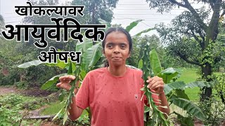 कोकणातील खोकल्यावरील आयुर्वेदिक औषध ☘️ | निवडुंग | Medicinal Plant | Village Life |  @kokanachilek