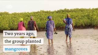 Fighting erosion in Senegal | DW English