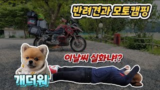 [EP.6]  태풍뚫고 반려견과 모토캠핑 날씨 실화?