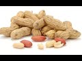 നിലകടല ഔഷധഗുണങ്ങൾ health benefits of peanuts