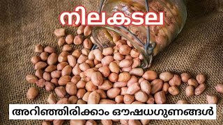 നിലകടല | ഔഷധഗുണങ്ങൾ | health benefits of peanuts|