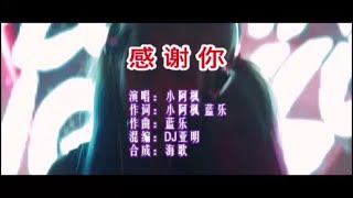 小阿枫《感谢你 （DJ亚明版）》 KTV 导唱字幕 （备有伴奏视频）