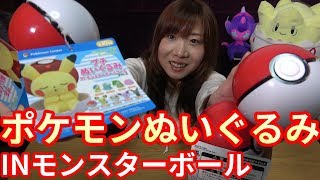 モンスターボールに入ったぬいぐるみ買ってきた！プチぬいぐるみINモンスターボールケースVol2