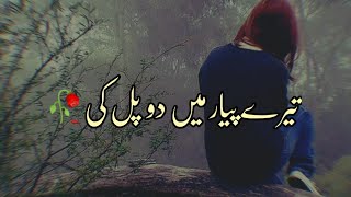 Tere Pyar Me Do Pal Ki | Sad 2 Line Shero Shayari Status | Urdu Poetry