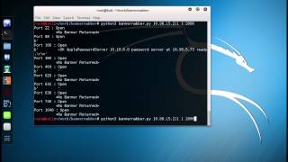 Python Port Banner Nabber