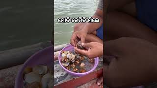 ମୋତି କେମିତି ମିଳେ |#youtubeshorts #shorts odiavlog