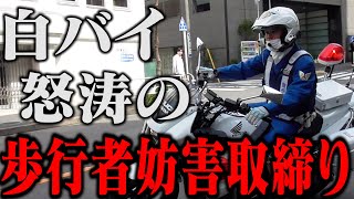 いや危ねえから！！横断歩行者が通過中にも関わらずノーブレーキで突っ込む違反者！一部始終を見ていた白バイ、たまりかねて緊急走行で猛追！他・身勝手すぎる歩行者妨害6連発！！【歩行者妨害　取締り　交通違反】