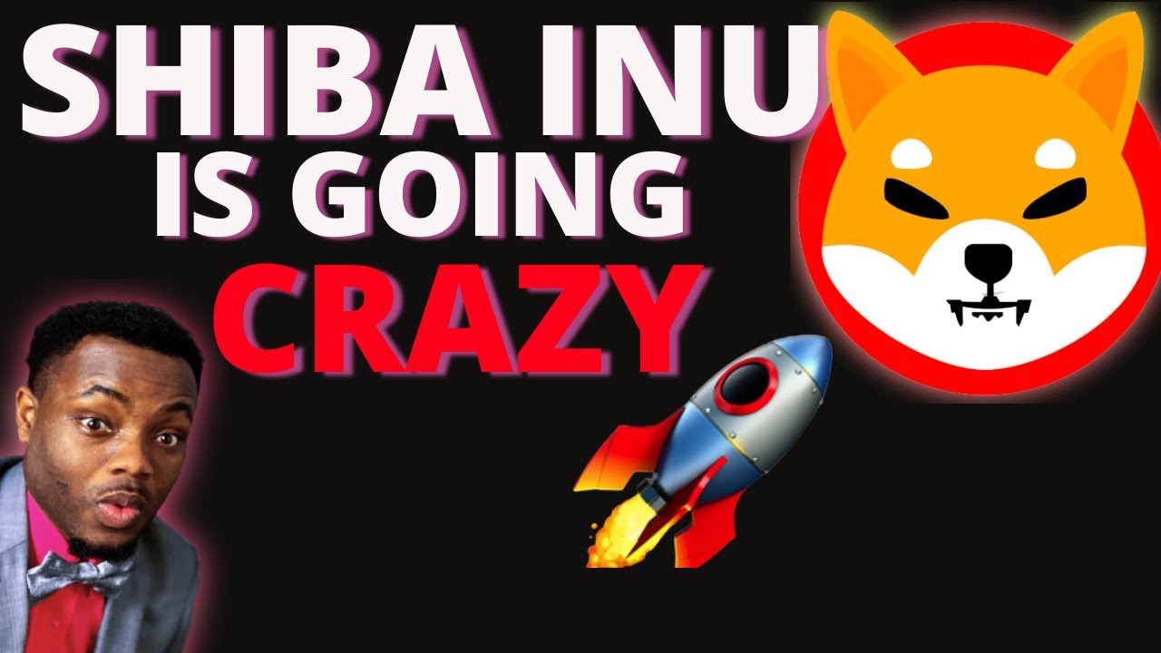 Shiba INU IS ON A ROCKET! 🚀 - YouTube