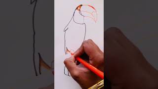 Toucans bird sketch || how to draw simple toucans bird drawing