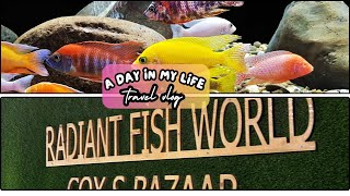 Radiant Fish World Cox's Bazar - Beautiful \u0026 Biggest Live Fish Aquarium in BD