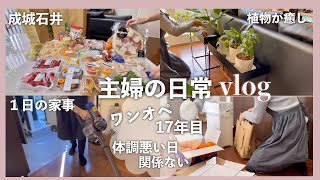 成城石井と主婦の1日家事VLOG/娘の１７歳の誕生日/頭痛がしても家事をする40歳