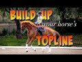 Training and Nutrition for Your Horse's Topline