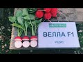 Редис Велла f1 сравниваем с Селестой f1