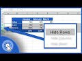 How to Hide Rows in Excel
