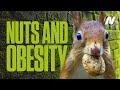 Nuts and Obesity: The Weight of Evidence