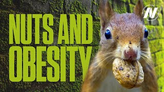 Nuts and Obesity: The Weight of Evidence