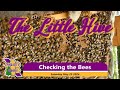 The LITTLE Hive 20240525 #beekeeping