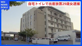 自宅トイレで出産した女の子の悲劇：29歳母親逮捕の真相 | WDI SAISOKU NEWS #小林優奈 #四日市市 #放置 #保護責任者遺棄致ﾀﾋ #敗血症