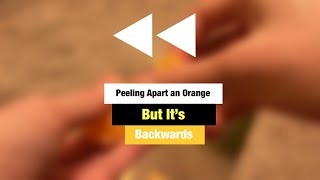 Peeling Apart An Orange | But It’s BACKWARDS!