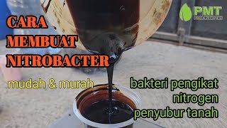 Cara Membuat Nitrobacter, bakteri penyubur tanah dan tanaman , mudah & murah