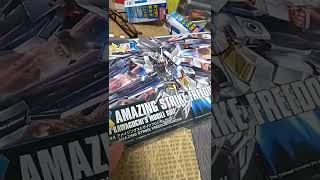 HG1/144アメイジングストライクフリーダムガンダム購入しました～