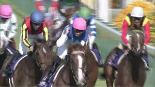 2020年NHKマイルカップ有力馬紹介