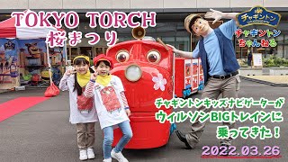 【TOKYO TORCH 桜まつり】ウィルソンBIGトレインに乗ってきた！【チャギントンちゃんねる】