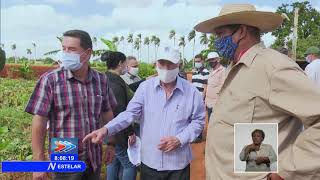 Machado Ventura chequea planes para producción de alimentos en Cuba