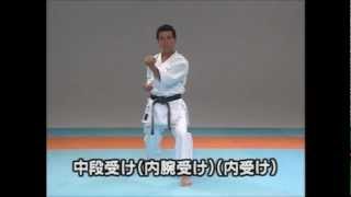 全空連(JKF)空手道入門基本編karatedo