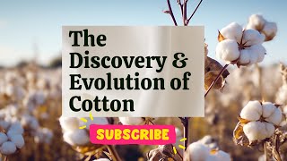 From Ancient Origins to Modern Marvel: The Discovery \u0026 Evolution of Cotton #cotton #textile #fabric