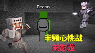 Minecraft：dream只有半颗心，他能击杀末影龙吗？#dream【少轩解说】