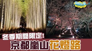 冬季浪漫約會! 京都嵐山花燈路 ｜日本旅遊｜放假去邊