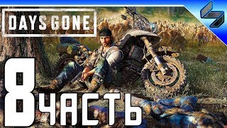 DAYS GONE (Жизнь После) Прохождение ➤ Часть 8 На Русском ➤ PS4 Pro [1080p 60FPS]