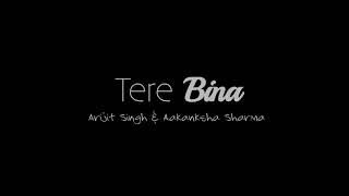 Tere bina marj aadha adhura full lyrics song.    Sandeep Sharma