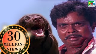 Moti (Dog) Revenge - Kills Sadashiv | Teri Meherbaniyan Climax Scene 01 | Jackie Shroff, Amrish Puri