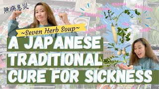 Cure for Sickness -Incredible Effectiveness of Seven Herbs called Nanakusa Gayu-